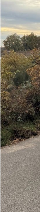 Bijzonder rouwvervoer